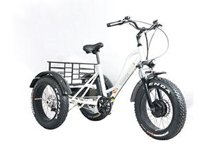 TG-T001 지방 타이어  전기 세발 자전거